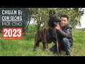 Con Giống Mới cho 2023 & Tất Niên tại Trại Chó Malinois Khánh Hưng/ NhamTuatTV - Dog in Vietnam