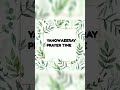 biblewords உங்கள் பிரச்சினைகளை இப்படி ஆராய்ந்து முடிவெடுங்கள் yahowaeeray prayer time.07 05 2024