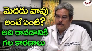 What Are The Causes of Encephalitis | మెదడు వాపు అంటే ఏంటి? అది రావడానికి గల కారణాలు | Eagle Health