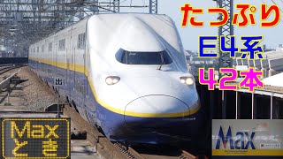 【2021年10月1日定期運用終了】たっぷりE4系×42本(Memory of Double-deck Shinkansen E4 Series)