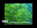 Mozambique Waterworld the Bazaruto Archipelago