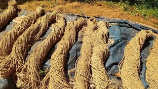 കയർ നിർമ്മാണം/ചൂടിക്കെട്ട്Coir rope making process and machines in factory