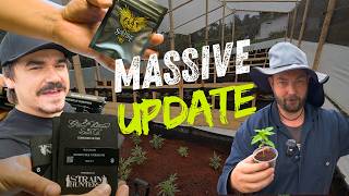 Popping 400+ beans \u0026 building HUGE Organic Raised Beds (CO2 grow room completion)