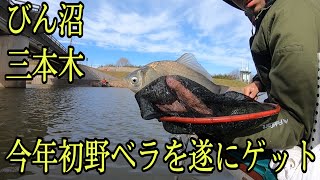 びん沼三本木にて野釣りでやっと今年初へらぶなゲット！！