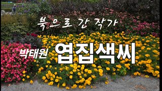 옆집색씨/박태원/반딧불이