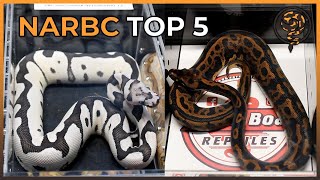 Our Top 5 Ball Pythons at NARBC Reptile Expo - March 2022 #TinleyPark