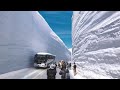 一年一度的立山黑部雪壁大谷絕景 yokoso japan tour video for hk