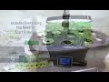 the smart countertop garden aerogarden bounty