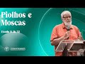 Augustus Nicodemus | Piolhos e Moscas | Êxodo 8: 16-32