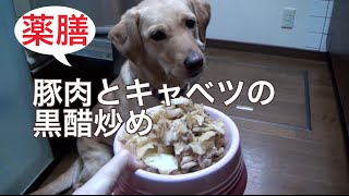 犬ご飯レシピ：春キャベツと豚肉の黒酢炒め（薬膳）