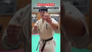 【武道・武術】実際の速度より体感速度の方が圧倒的に重要！！　#aikido ＃karate #martial #武道 ＃#空手＃合気道＃筋トレ#selfdefens