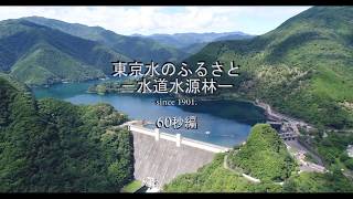 東京水のふるさと―水道水源林―　（６０秒編）