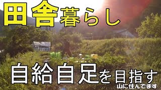 ガチの田舎に移住して自給自足生活を目指す　家庭菜園と薪割りと夕飯