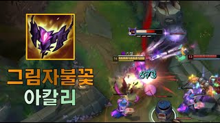 프리시즌 아칼리 전용템 상태가 ㅋㅋ;;