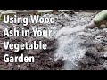 Using Wood Ash in Your Vegetable Garden