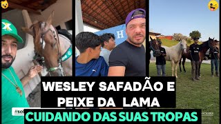 WESLEY SAFADÃO E PEIXE DA LAMA CUIDANDO DOS SEUS CAVALOS