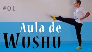 Técnicas de Wushu #01 Chute Frontal Tantui