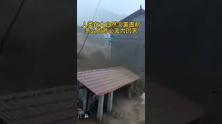 习近平的水稻上山，洪水下山，习近平的毁林种稻彻底失败了，烂尾帝种稻也失败了，习近平说：成功必不在我，烂尾肯定是我。