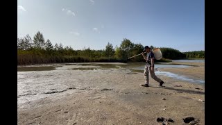 Biodiversity Genomics Europe - Field sampling Hydroglyphus hamulatus