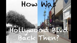 Episode 4: The Real Story of Hollywood Blvd Part One: Prospect Ave.