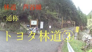 林道「芦谷線」通称トヨタ林道③　トリッカーと三重の林道