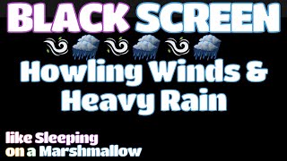 Get a GREAT Night's Sleep with the Sound of Howling Winds and a Thunderstorm | BLACK SCREEN!
