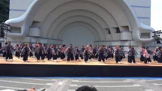 原宿スーパーよさこい2017 ～ 京都チーム「櫻嵐洛」