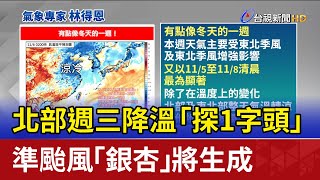 北部週三降溫「探1字頭」 準颱風「銀杏」將生成