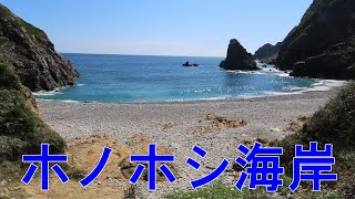 【奄美大島】楕円形の石だけがゴロゴロしている、ホノホシ海岸です。