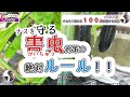 字幕】支柱、脇芽、肥料、病気。ナス１株で１００本収穫するコツ