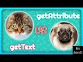 ✔ Selenium - getText vs getAttribute: Throwback | (Video 176)