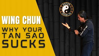 Why Your Wing Chun Tan Sao Is Wrong
