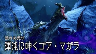 【MHRSB】未クリアのイベクエ消化ツアー（混沌ゴア＆紅蓮バゼル、激昂ラージャン＆怨嗟マガドなど）