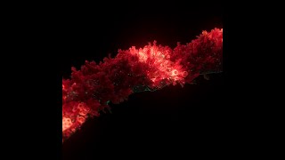 Luminary plants growth Houdini RND