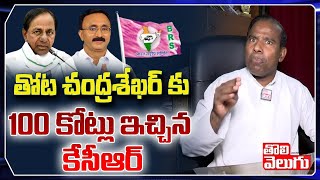 తోట చంద్రశేఖర్ కు 100 కోట్లు ఇచ్చిన కేసీఆర్ | KA Paul Comments On AP BRS Chief | Tolivelugu TV