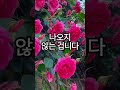 며느리에게 500만원 용돈줬더니 반응이 충격입니다