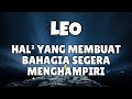 LEO💥HAL² YANG MEMBUAT BAHAGIA SEGERA MENGHAMPIRI