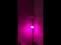 multi color light bulb wiz