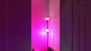 Multi Color Light Bulb WIZ