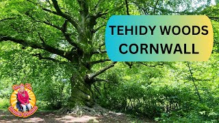 TEHIDY WOODS - Circular Accessible Route through the woods