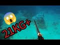 SPEARFISHING FILIPINA || PERJALANAN RAKSASA || RAJA IKAN MACKEREL || TV MEL SPEARFISHING!