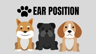 The secret body language of Dog Ear Positions. How to decode it?