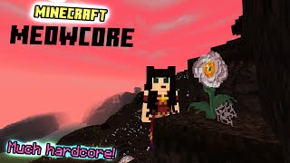 Minecraft Meowcore - Harcore SMP