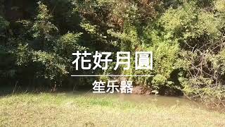 中醫五音疗法ㄧㄧ健脾【宮音合辑】l五音入五臟属土健脾【五行五音五志系列】每天半小時治療亞健康l曲子的频率能按摩相應器官,達至其他煅炼所不能達之位置