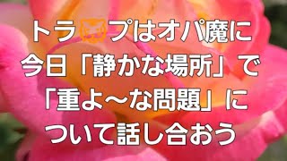 2025年1月15日　聞き覚えがあるだろうか？緊張した笑いだ、ずっとこちらを見ており、まるでお化けを見たかのようだ…非常に興味深い👀✨