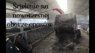 Podwórkowy Vlog #83 Testy nowej ścielarki u Matiego w nowoczesnej oborze ;)