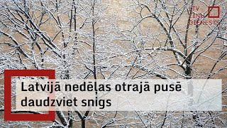 Latvijā sākusies meteoroloģiskā ziema; nedēļas otrajā pusē daudzviet snigs