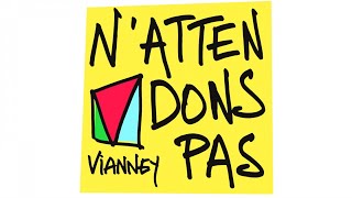 Vianney - N'attendons pas (Video Lyrics)