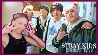 STRAY KIDS REACTION: SKZ Code Ep 10, 11 & 12