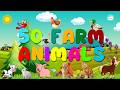 Exploring 50 Amazing Animals with Baby Kid Club | Fun and Learning!